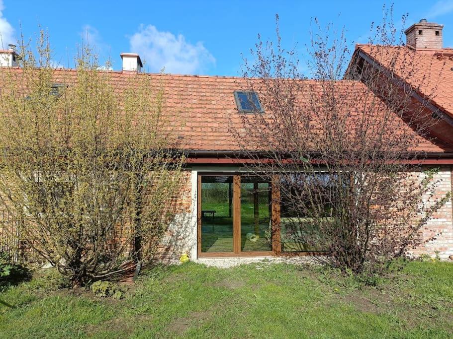 Apartment Mierki66